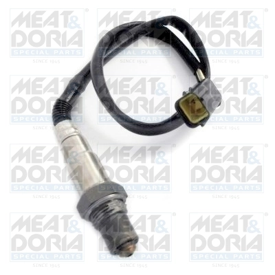 Oxygen Sensor